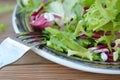 Fresh green salad plate, with spinach, arugula, romaine and lettuce. Healthy food. Wooden table. Royalty Free Stock Photo