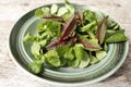 Fresh green salad and sorrel