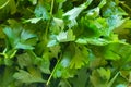 Fresh green salad with spinach, arugula, romaine and lettuce Royalty Free Stock Photo