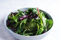 Fresh green salad with spinach,arugula,romaine and lettuce, healthy food Royalty Free Stock Photo