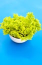 Fresh green salad in white boowl on blue background