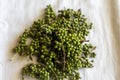 Fresh green sansho japanese pepper or prickly ash use for flavoring cuisine