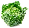 Fresh green savoy cabbage isolated on white background Royalty Free Stock Photo