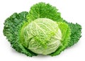 Fresh green savoy cabbage isolated on white background. File contains clipping path Royalty Free Stock Photo