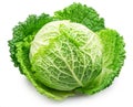 Fresh green savoy cabbage isolated on white background. File contains clipping path Royalty Free Stock Photo