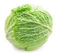 Fresh green savoy cabbage isolated on white background. File contains clipping path