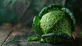 Fresh green savoy cabbage on rustic wooden background