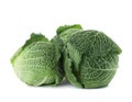 Fresh green savoy cabbages Royalty Free Stock Photo