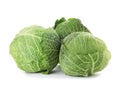 Fresh green savoy cabbages Royalty Free Stock Photo