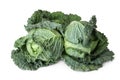 Fresh green savoy cabbages on white Royalty Free Stock Photo