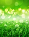 Fresh green sensation Royalty Free Stock Photo