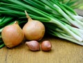 Fresh green shallot and onion for cooking Royalty Free Stock Photo