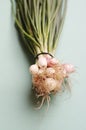 Fresh green shallot onions on the blue background Royalty Free Stock Photo