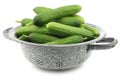 Fresh green snack cucumbers in an enamel colander Royalty Free Stock Photo