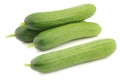 Fresh green snack cucumbers Royalty Free Stock Photo