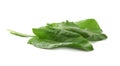 Fresh green sorrel leaves on white background Royalty Free Stock Photo
