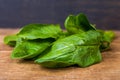 Fresh green spinach Royalty Free Stock Photo