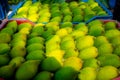 Fresh and green spiny gourd vegetables ready for sale in the market