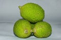 Fresh & Green Spiny Gourd Vegitable Close Up Image