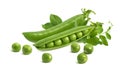 Fresh green split pod and peas isolated on white background Royalty Free Stock Photo