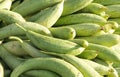Fresh green sponge gourd Royalty Free Stock Photo