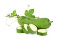 Fresh green sponge gourd or luffa with leaf isolated on white