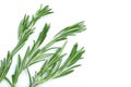 Fresh green rosemary isolated on a white background with copy space for your text. Top view. Flat lay Royalty Free Stock Photo