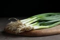 Fresh green spring onions on wooden board Royalty Free Stock Photo