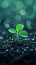 A fresh green sprout emerging from damp soil with bokeh background Royalty Free Stock Photo