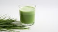 Fresh green sprouts of a wheat and a wheatgrass drink on a white background Royalty Free Stock Photo