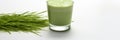 Fresh green sprouts of a wheat and a wheatgrass drink on a white background Royalty Free Stock Photo
