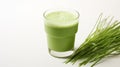 Fresh green sprouts of a wheat and a wheatgrass drink on a white background Royalty Free Stock Photo