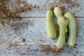 fresh green squash marrow zucchini on blue old wooden table background. Royalty Free Stock Photo