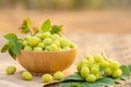 Fresh green star gooseberry (tropical Thai fruit) in bowl on wooden plank background