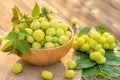 Fresh green star gooseberry (tropical Thai fruit) in bowl on wooden plank background