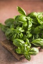 Fresh green sweet basil leaves, Also known as great basil or Genovese basil, Ocimum basilicum, a culinary herb in the mint family Royalty Free Stock Photo