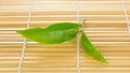 Fresh green tea leaf on bamboo