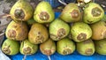 Fresh green tender coconut, coconuts, Cocos nucifera is a member of the palm tree family