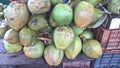 Fresh green tender coconut, coconuts, Cocos nucifera is a member of the palm tree family