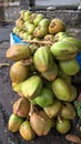 Fresh green tender coconut, coconuts, Cocos nucifera is a member of the palm tree family