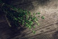 Fresh green Thyme branch on the wood background Royalty Free Stock Photo