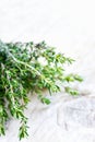 Fresh green thyme herb on old wood background Royalty Free Stock Photo