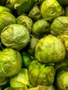 Fresh green Tomatillos or Mexican husk tomato Royalty Free Stock Photo