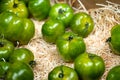 Fresh green tomatoes, a healthy choice