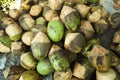 Fresh green tropical coconuts at the market Royalty Free Stock Photo