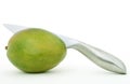 Fresh green tropical mango fruit