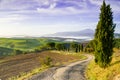 Fresh Green tuscany landscape in spring time Royalty Free Stock Photo