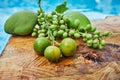 Fresh green unripe grapes, tangerines and mangoes on a wooden background in blue water and copy space Royalty Free Stock Photo