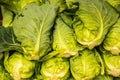 Group of fresh green vegetables Royalty Free Stock Photo