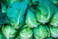 Group of fresh green vegetables Royalty Free Stock Photo